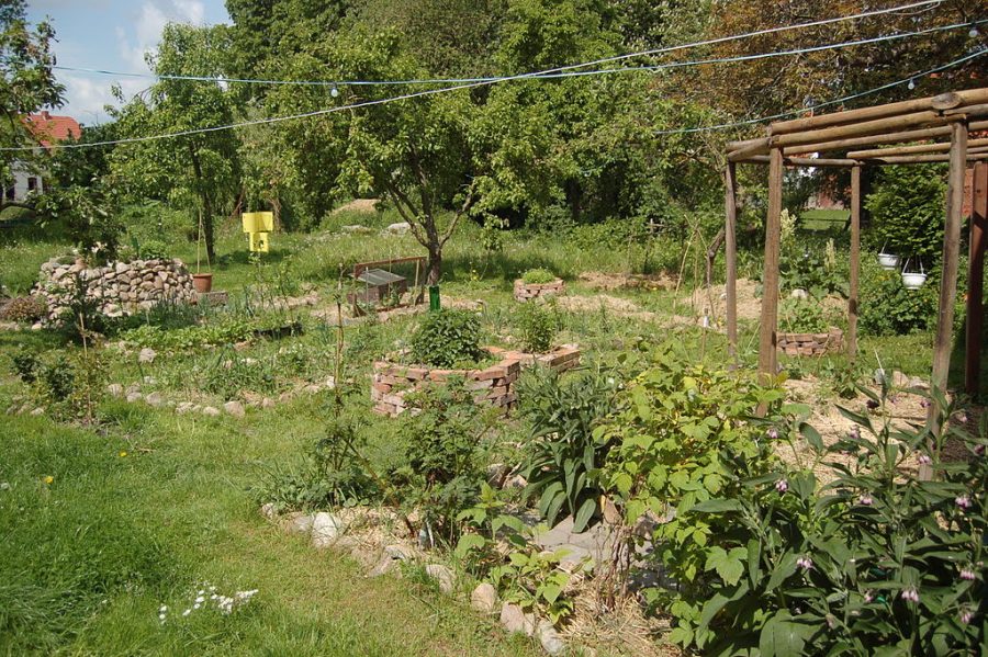 Designing a Permaculture Farm