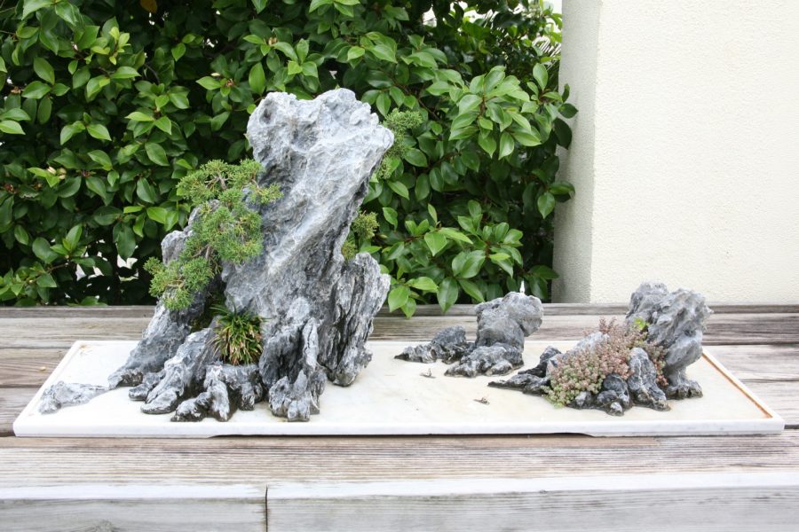 Penjing trees and rocks