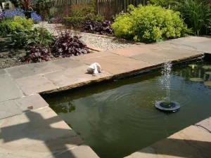 Solar Powered Water Feature Ideas