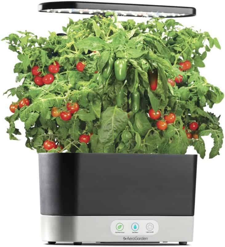 What AeroGarden Should I Buy?