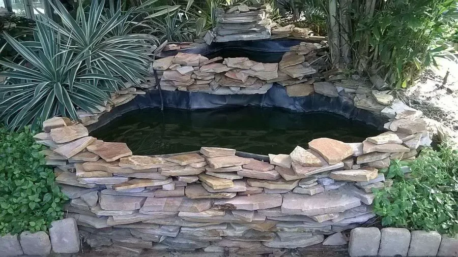 Above Ground Pond