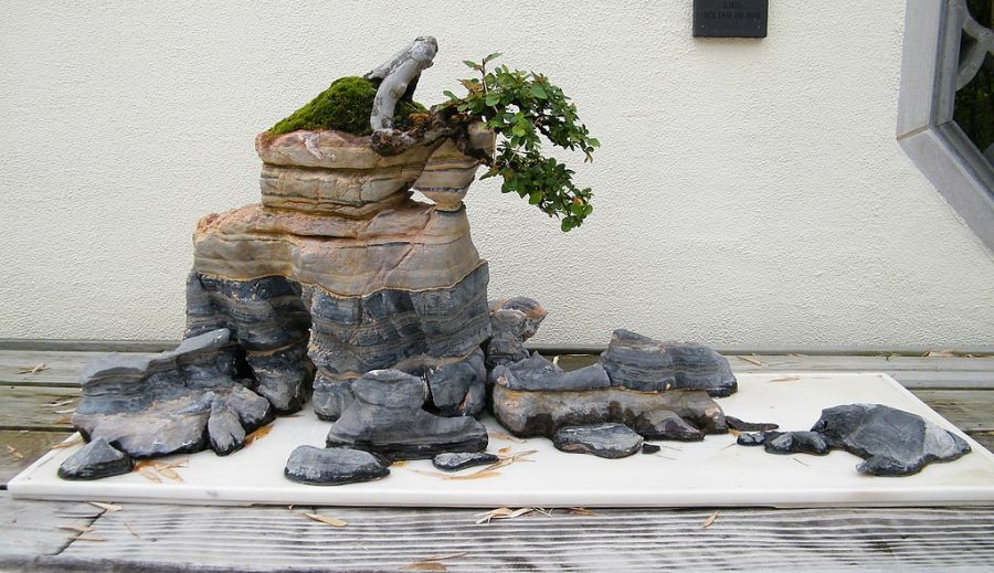 Penjing with rocks