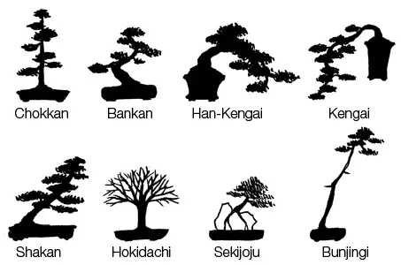 Bonsai Styles