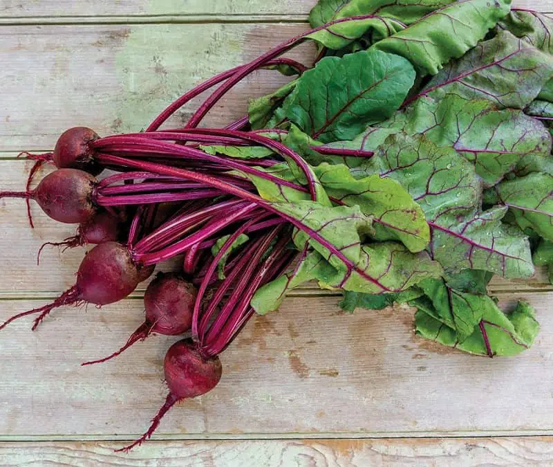 How To Grow Beets In Containers