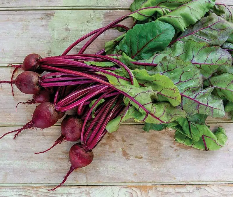 How To Grow Beets In Containers