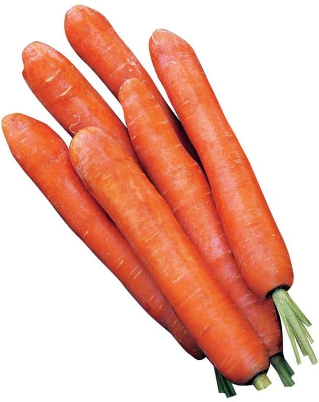 How To Grow Carrots Indoors