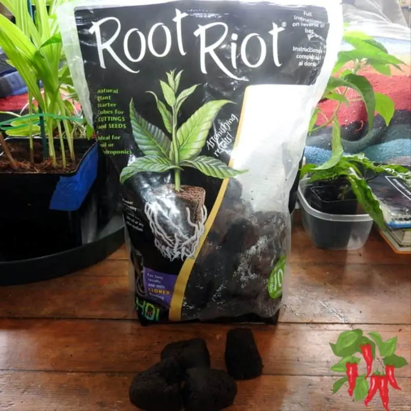 root riots foe AeroGarden pod replacement