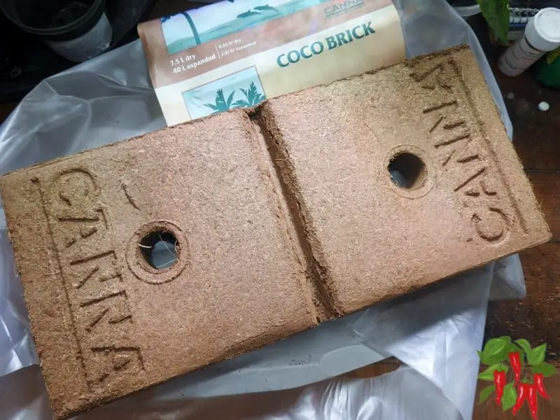 Growing Vegetables In Coco Coir With Canna Coco Bricks