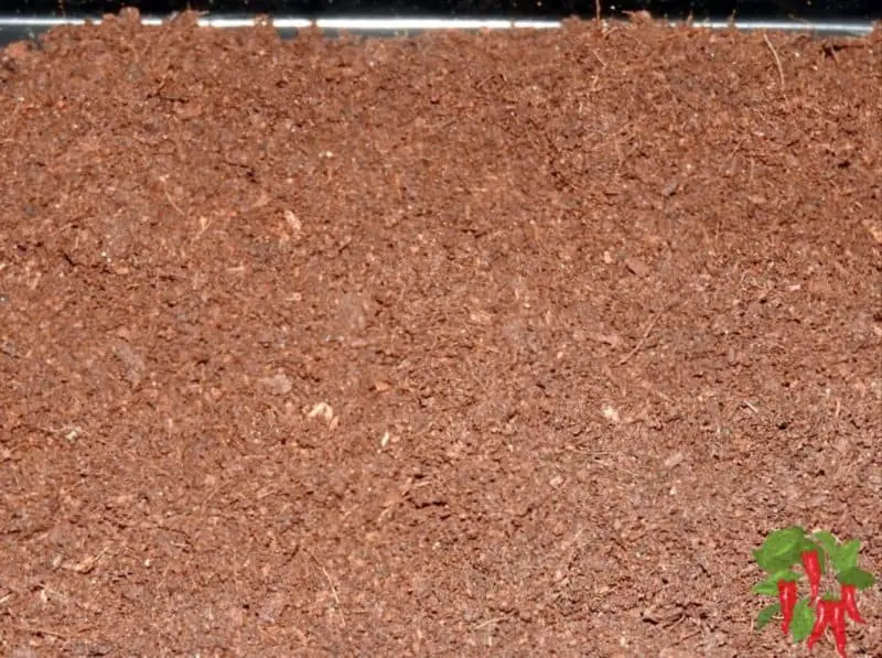 COCO COIR