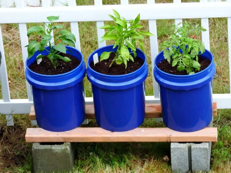 GroBucket Self Watering 5 Gallon Bucket System Review Easy Growing