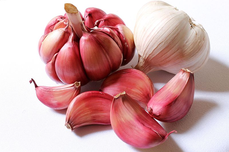 Growing Garlic Indoors In Pots
