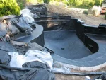 Koi Pond Design Fundamentals