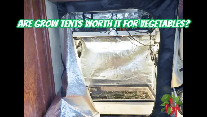 Are Grow Tents Worth It For Vegetables?