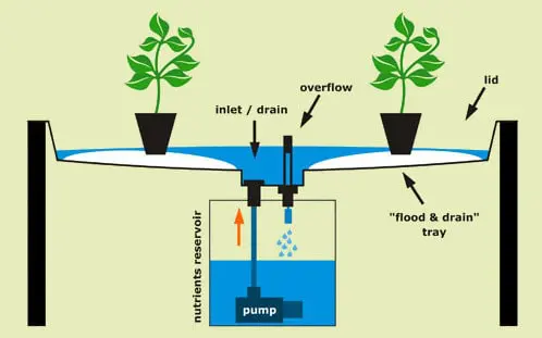 ebb and flow or flood and drain system