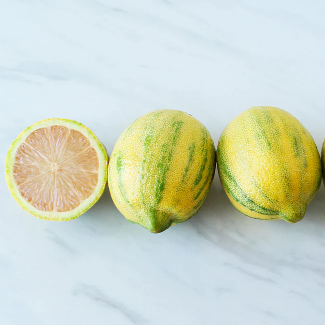 Pink Variegated Eureka Lemon Tree fruit