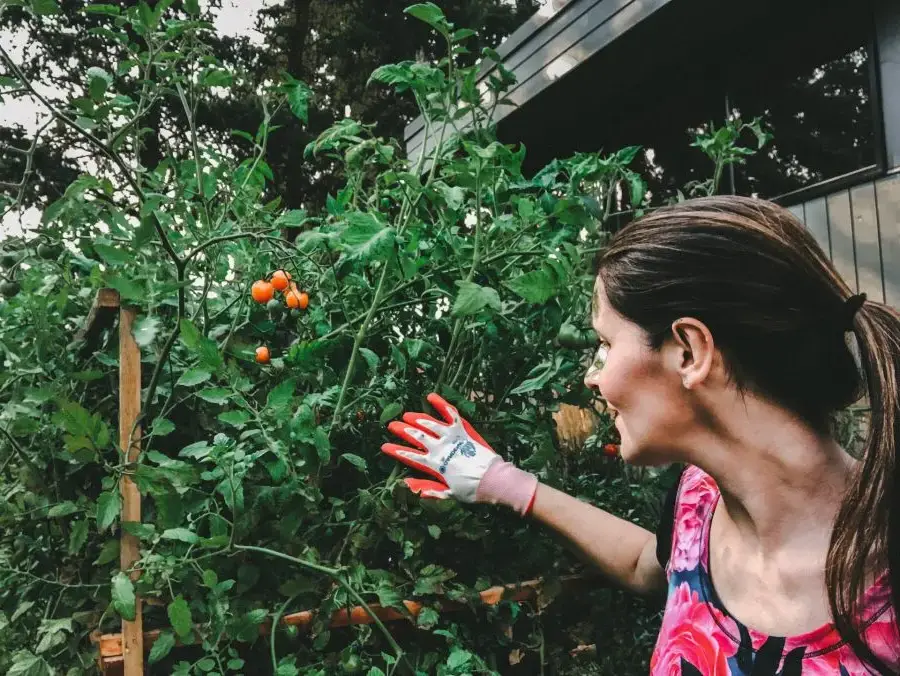 Vertical Gardening Ideas: 9 Best Small Space Gardens