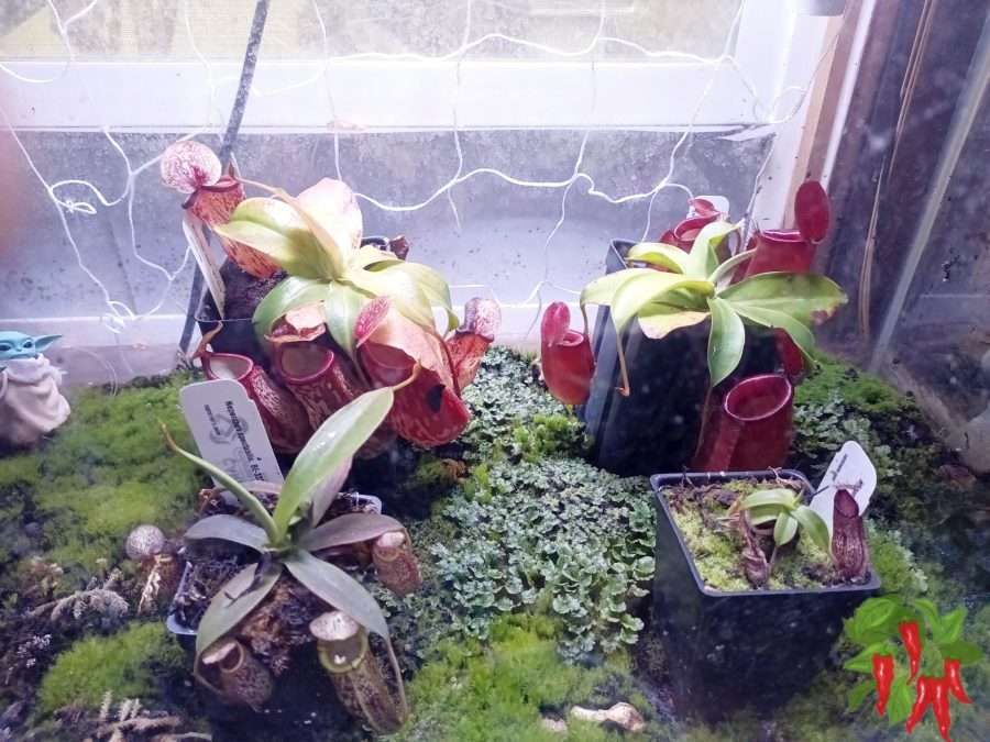 Your Plant Tells You More Than the Calendar Does