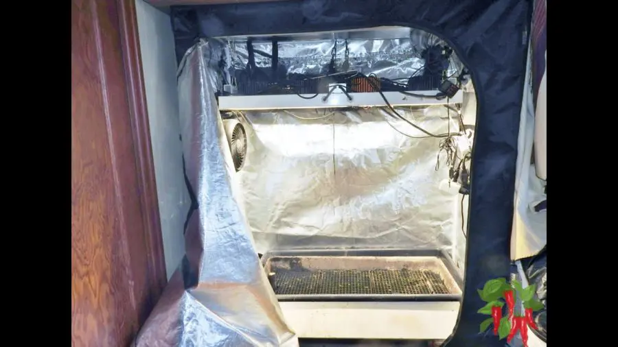 Using A Grow Tent For Vegetables