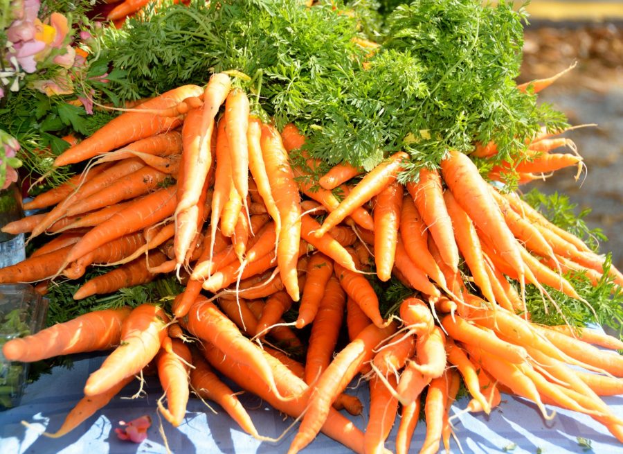 carrot crop