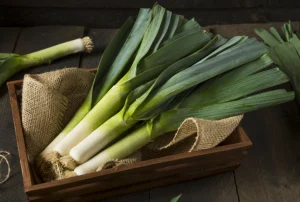 Growing Leeks In Containers