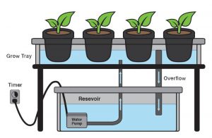 What Is A Hydroponic Reservoir? Flood And Drain How To