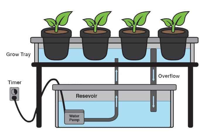 How To Automate Bottom Watering