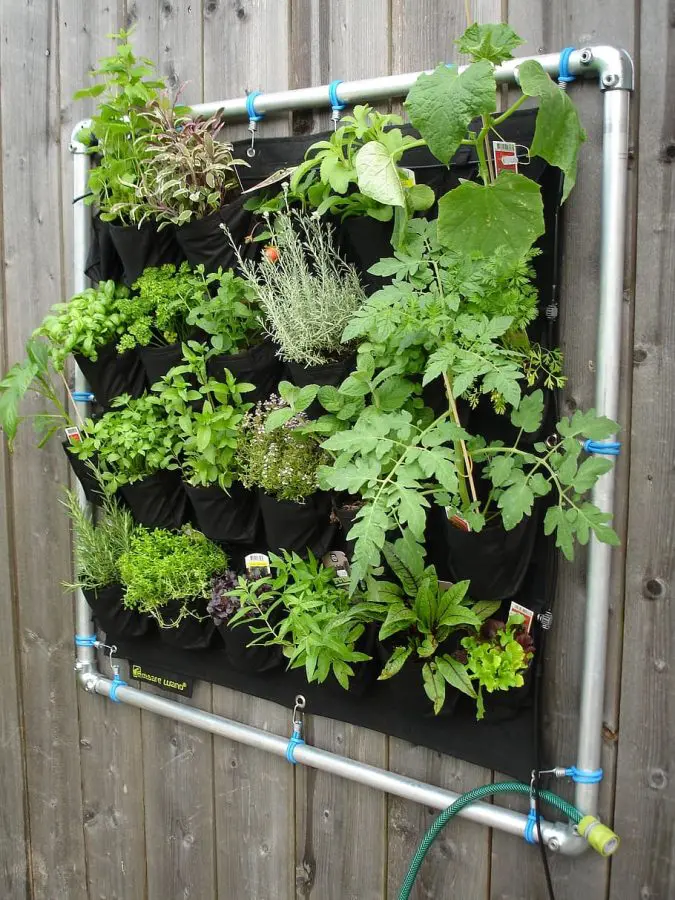 vertical wall mounted herb garden