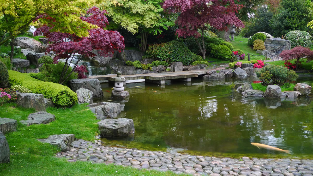 Using rock work in a Japanese water garden