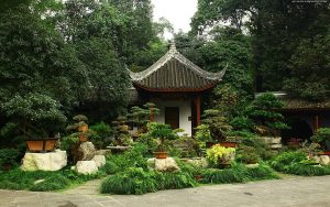 Bonsai Garden Ideas