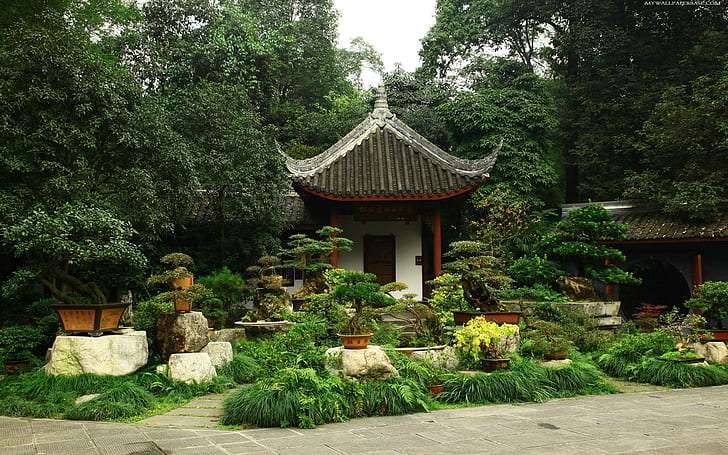 Bonsai Garden Ideas