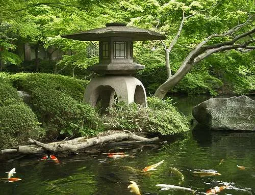 koi pond design- location koi pond design- choose your location
