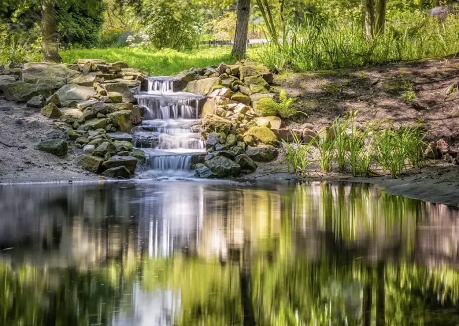 Creating a Water Garden 5 Stunning Backyard Koi Pond Ideas to Transform Your Outdoor Space