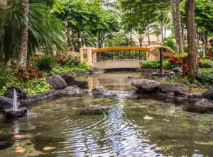5 Stunning Backyard Koi Pond Ideas to Transform Your Outdoor Space