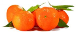 Growing Clementine Oranges Indoors