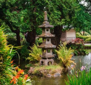 Japanese Water Garden Ideas