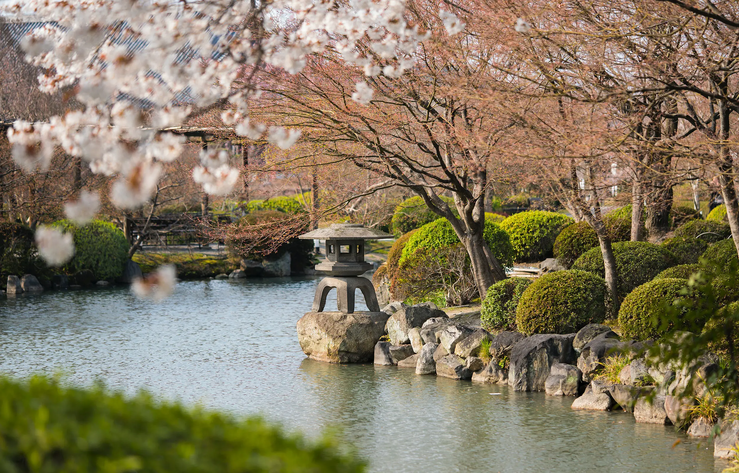 Japanese Water Garden