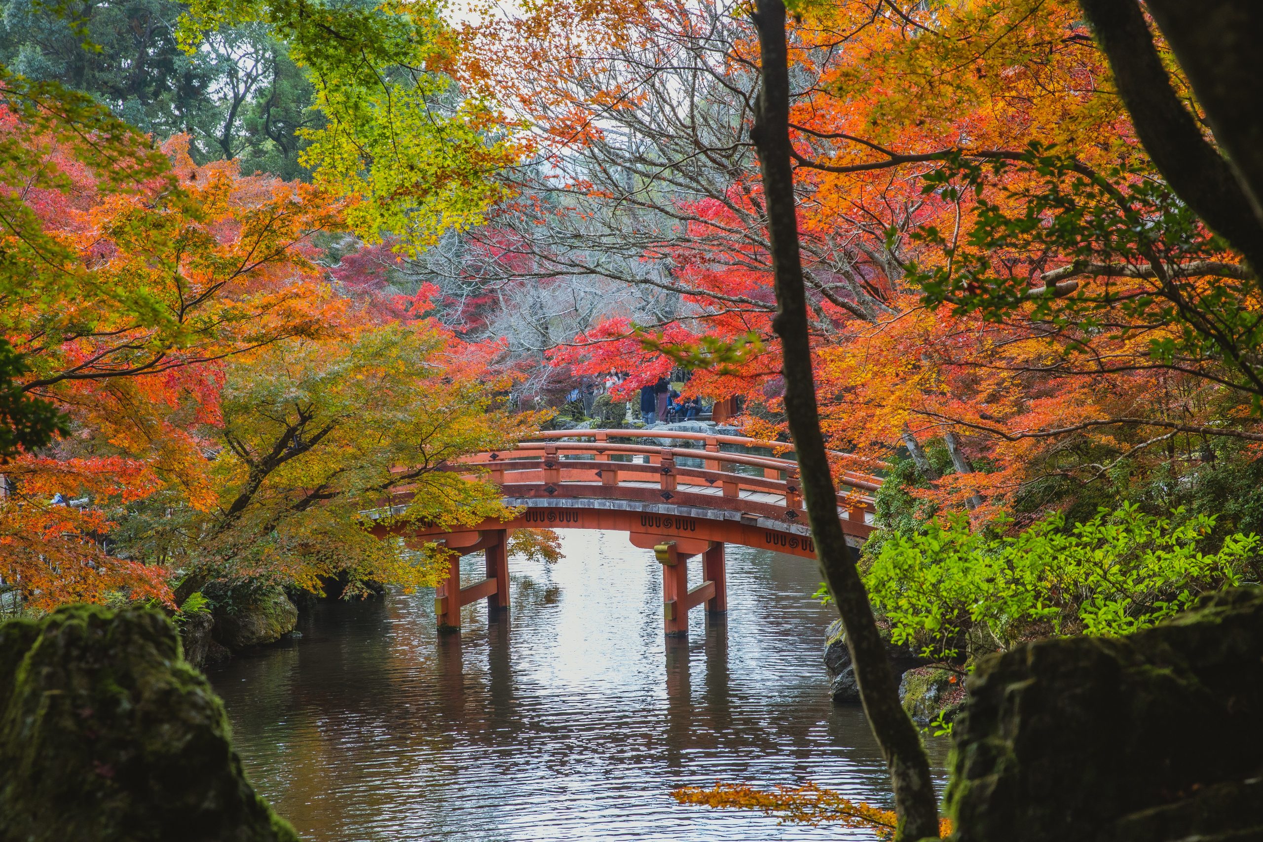 Japanese Water Garden With Bridge