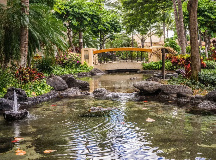 Backyard Pond Landscaping Ideas