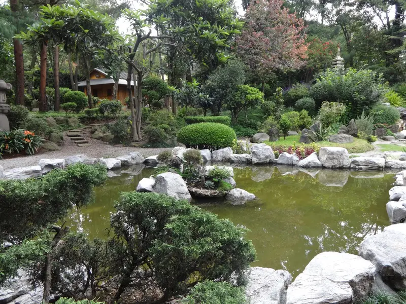 Add plants and rocks to your Japanese water garden
