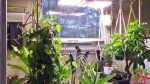 Exploding the Winter Dormancy Myth