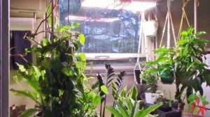 Exploding the Winter Dormancy Myth