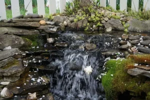 Benefits of Water Gardens