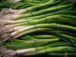 How To Grow Scallions Indoors