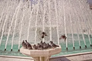 Bird Baths Make Great Water Garden Features