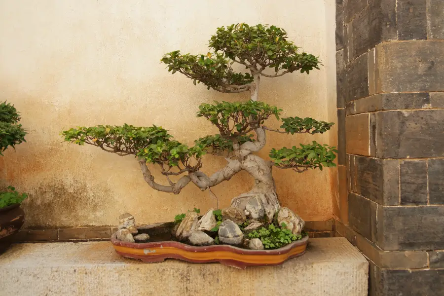 Penjing