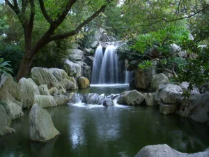 Amazing Small Pond Waterfall Ideas